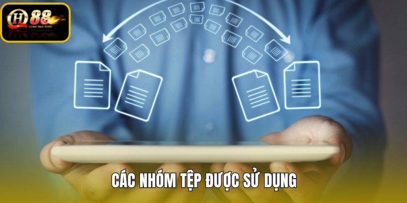 Chính sách cookie QH88 qua ba nhóm tệp chính