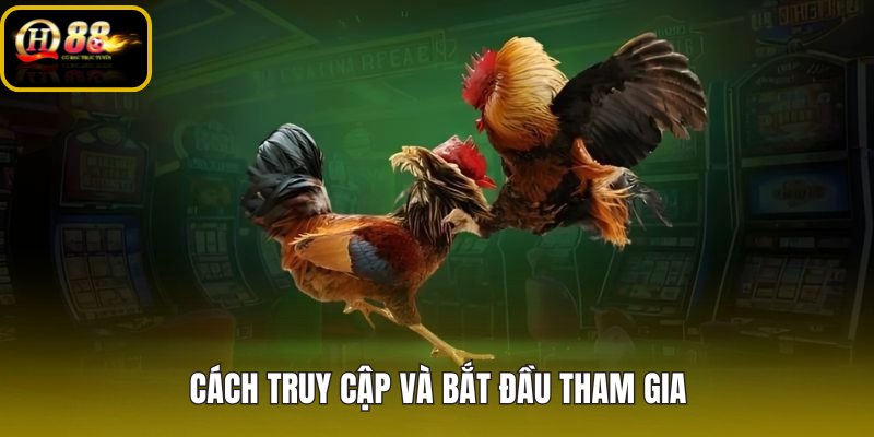 Đá gà QH88 vào đúng cổng và mở mục nhanh