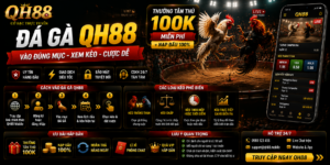 Đá Gà QH88 - Vào Đúng Mục Xem Kèo Và Lịch Đấu