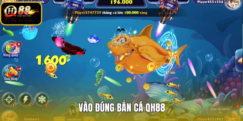 Bắn cá QH88 và bước kiểm tra link chính thức